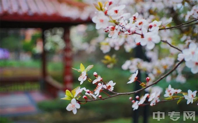 四川师范大学专业有哪些？专业介绍