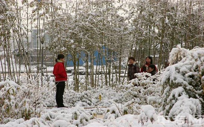 渭南师范学院环境图片、师资怎么样？