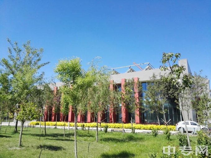 宁夏艺术职业学院中专部是公办还是民办学校？