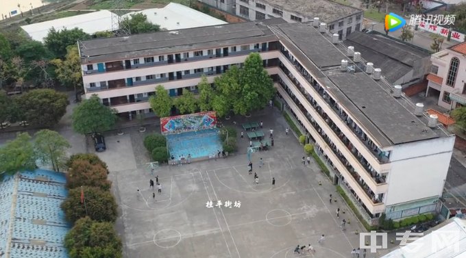 桂平市艺术学校公办还是民办、官网