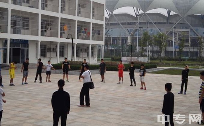 安庆市体育学校是公办还是民办学校？