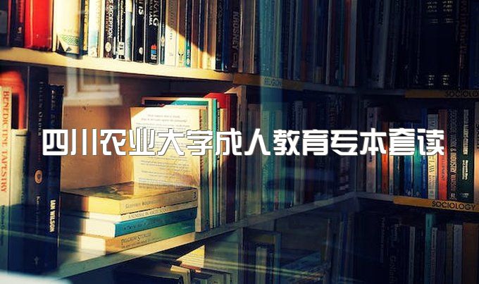 2023年四川农业大学成人教育专本套读学位证需要什么条件、毕业证样本及模板