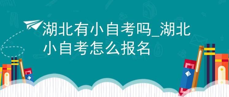 湖北省小自考服装与服饰设计专科需要考多少科？最快多久毕业?