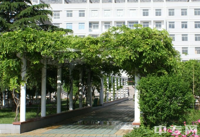 安徽省淮北卫生学校是公办还是民办学校？