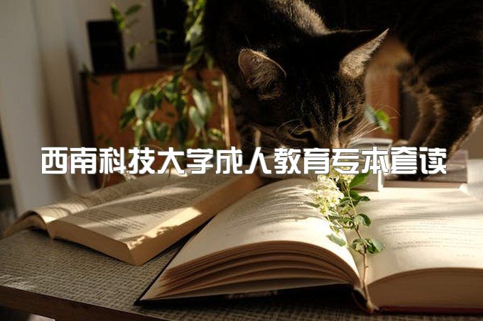 2023年西南科技大学成人教育专本套读招生简章及详细报考流程、学信网能查到吗