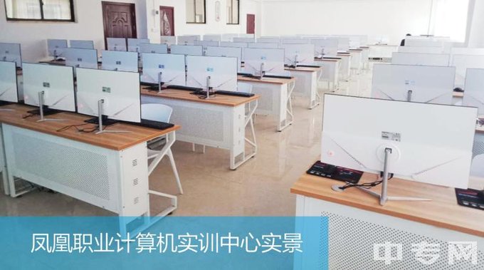 洞口县凤凰职业学校是公办还是民办学校？