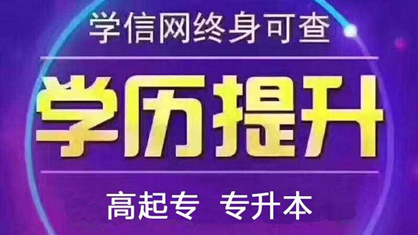 2023年武汉科技大学成人高考招生报名专业有哪些？