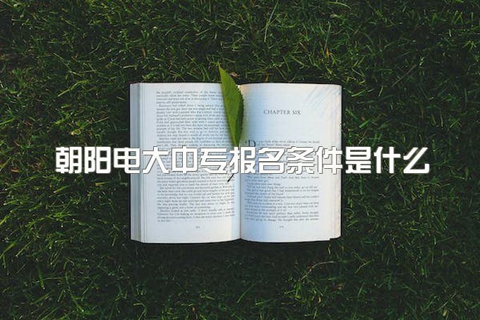 朝阳电大中专报名条件是什么、升大专如何自考本科