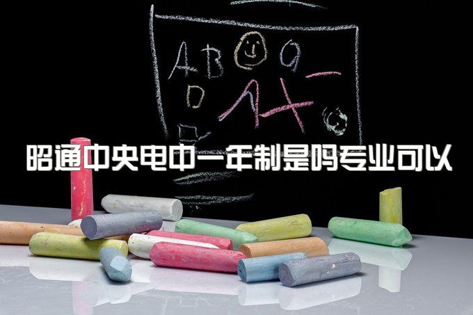 昭通中央电中一年制是吗专业可以报考二建呢、能参加高考报考吗