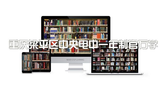 重庆梁平区中央电中一年制官方学习入口、两年制可以考公务员吗