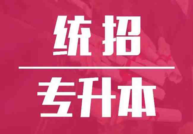 2023年武汉市普通专升本培训机构推荐