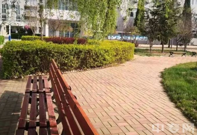 邢台市任泽区职教中心图片、环境怎么样