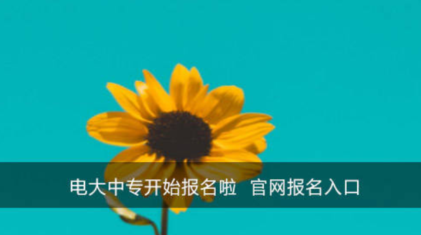 铜陵市电大中专报名方式及条件是什么？详细报考知识科普（2023年度）