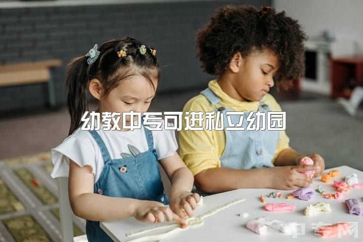 幼教中专可进私立幼园，年龄大淘汰吗？私立幼园老师多年资历如何？