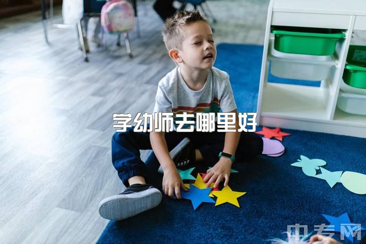 学幼师去哪里好，想要当幼师，自考学前教育专业专科想问一下有用吗？