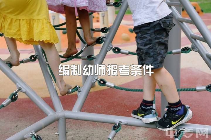 编制幼师报考条件，幼师专业怎么考编？