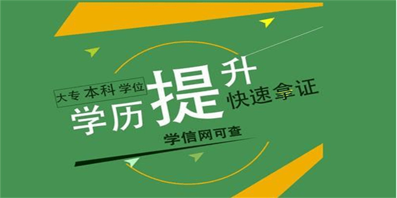 2023年成都自考与函授区别对比,哪种方式适合你?