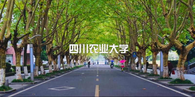 四川农业大学2023年应用型专业高等教育自学考试及“1+X”项目持续招生