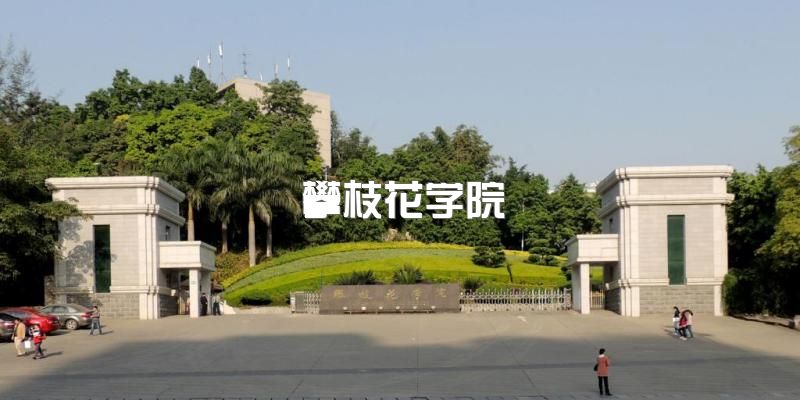 2023年攀枝花学院1+X护理学自学考试火热报名中~学校优势有哪些？