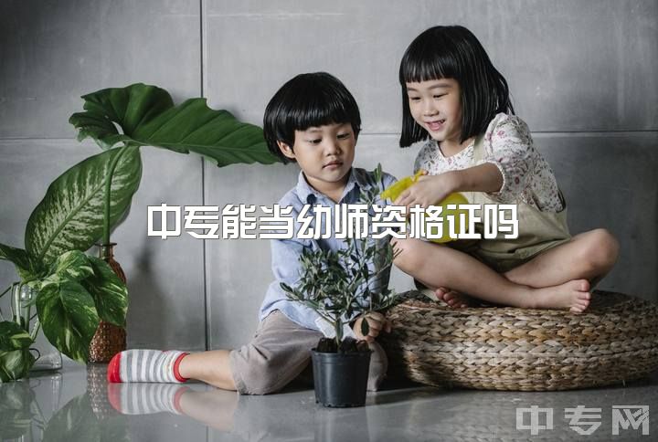 中专能当幼师资格证吗，请问考一个幼师资格证需要准备哪些呢？