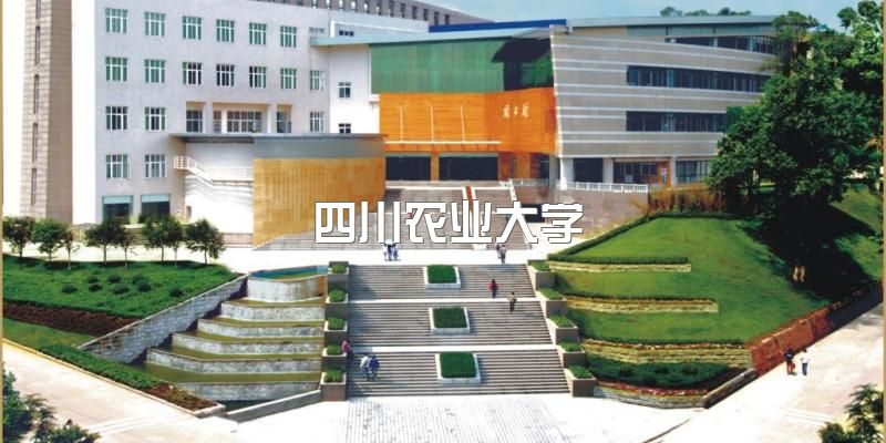 2023年四川农业大学应用型高等教育自学考试、“1+X”专业火热招生中~