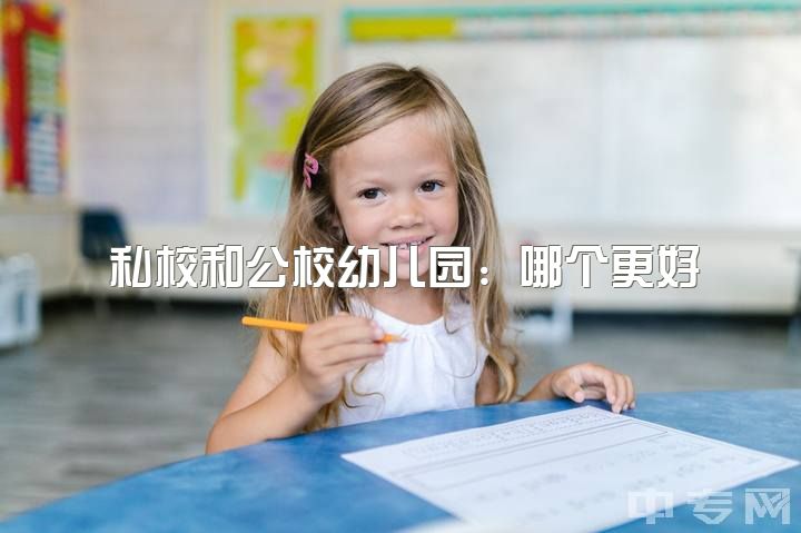 私校和公校幼儿园：哪个更好？公立幼儿园离开后的职业规划