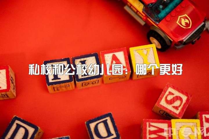 私校和公校幼儿园：哪个更好？公立幼儿园离开后的职业规划