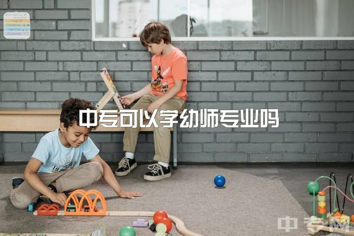 中专可以学幼师专业吗，学前教育专业本科学历能去中专当老师吗？