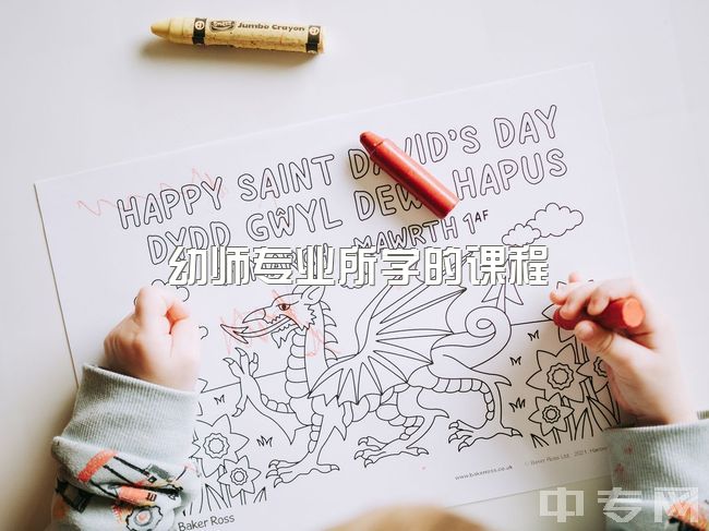 幼师专业所学的课程，本人学前教育专业，事业编和教师编应该选哪一个？