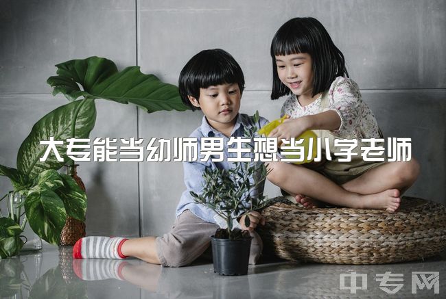 大专能当幼师男生想当小学老师，数学难记，语文能拼音，如何选择？