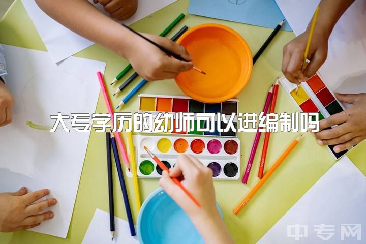 大专学历的幼师可以进编制吗，有没有关于大专幼师的提议关于升本考编？