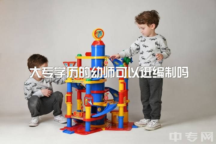 大专学历的幼师可以进编制吗，有没有关于大专幼师的提议关于升本考编？