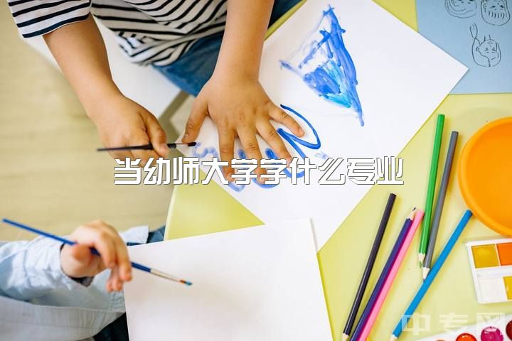 当幼师大学学什么专业，如果大学学的专业是幼师，以后想去当个兽医有什么办法吗？