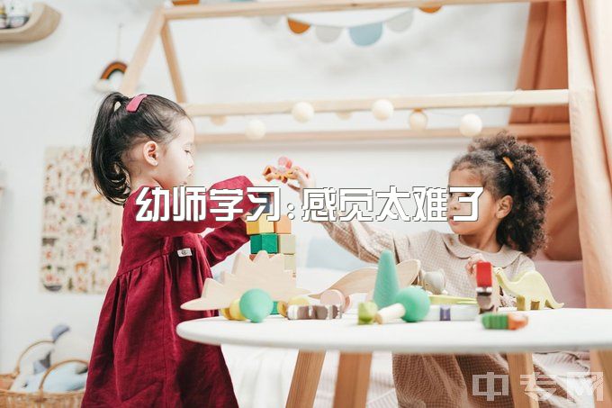 幼师学习:感觉太难了，两年经验什么都学不到