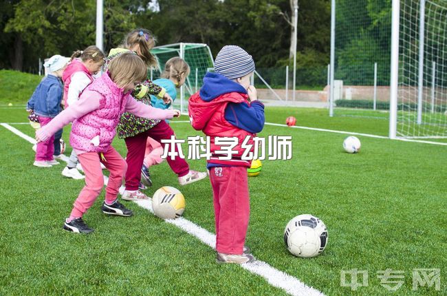 本科学幼师，本科学前教育专业是应该考研还是考公务员？