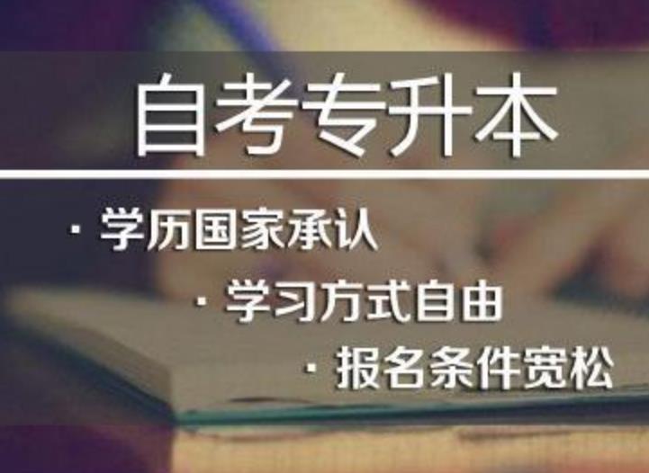 成考大专+自考本科真的没用吗？