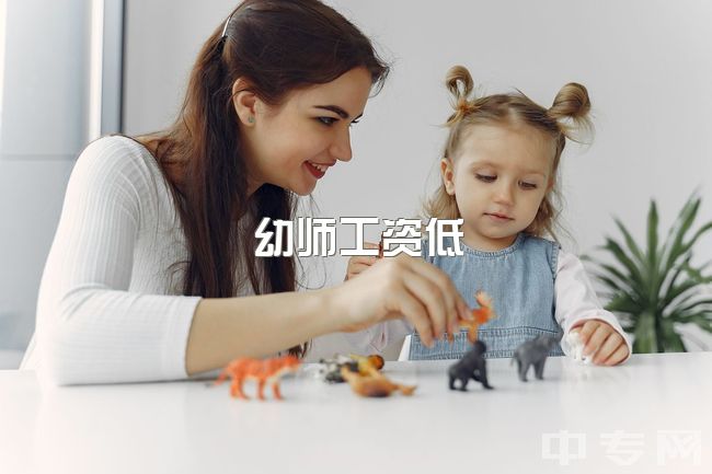 幼师工资低，幼儿园学费高，幼师素质偏低，学费去向疑问