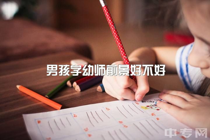 男孩学幼师前景好不好，有编制的男幼师，年纪大后在幼儿园会承担什么工作？