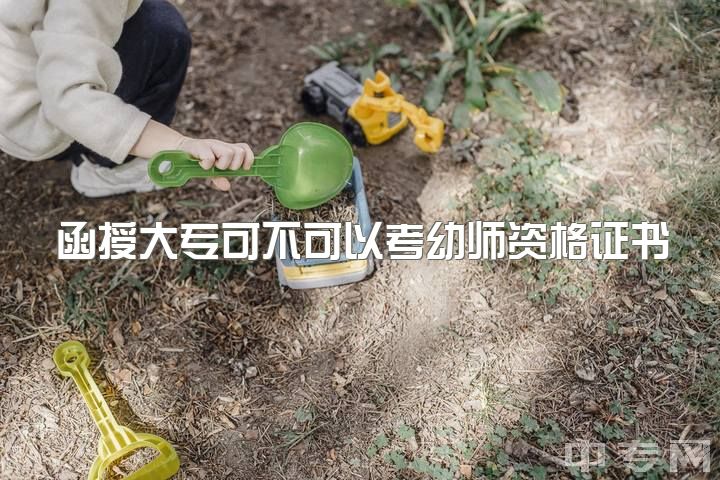 函授大专可不可以考幼师资格证书，幼师大专在读，可以专升本去澳洲吗？