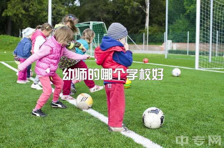 幼师的哪个学校好，是当幼师好还是服装导购好呢？