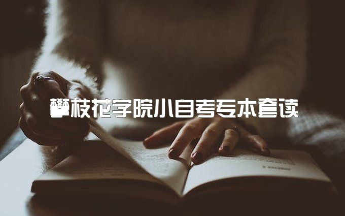 攀枝花学院小自考专本套读可以按年缴费吗、有用吗、能考公务员吗