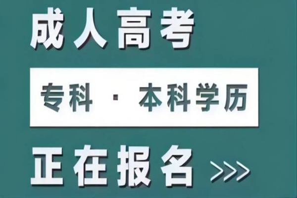 2023年武汉市成人高考线下怎么报名？（报名指南+官方指定入口）