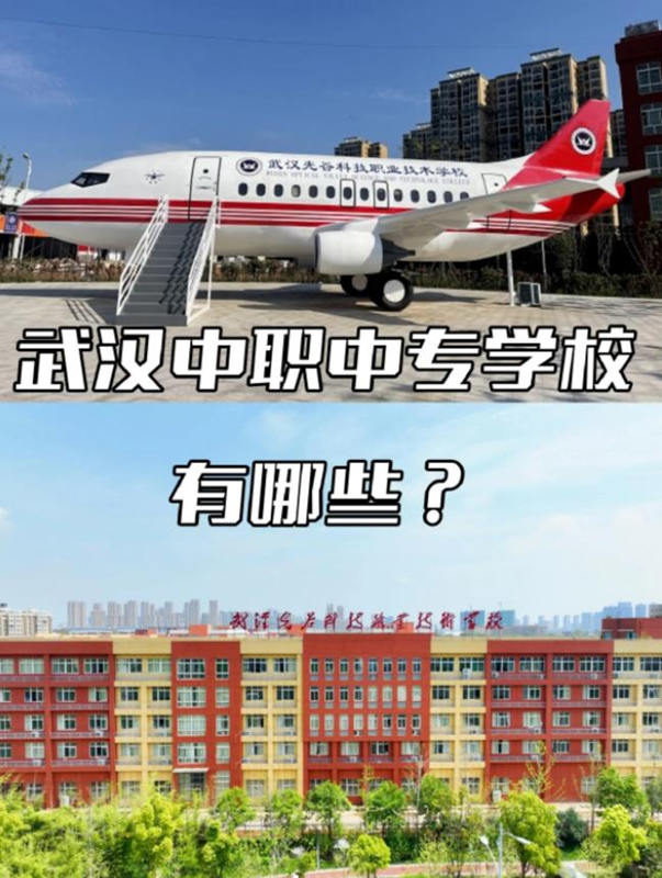 武汉中专航空服务专业哪些学校有开设？