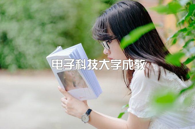 电子科技大学成教本科期末考、继续教育首页官网