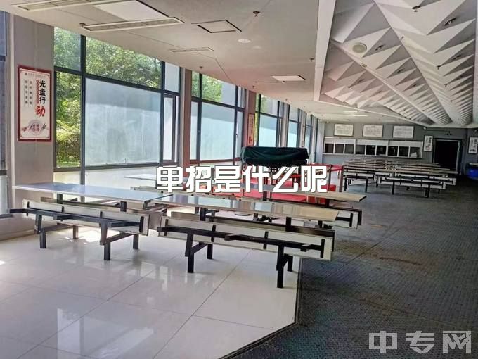 单招是什么呢?四川考试科目又是什么?成都新都美思单招培训学校带你一起了解