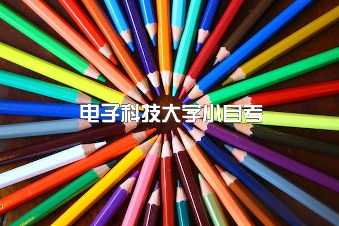 电子科技大学自考本科官网、继续教育首页官网