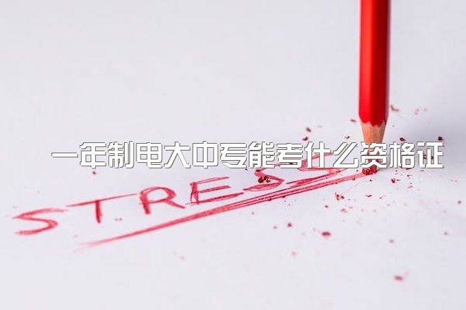 ​一年制电大中专能考什么资格证书吗？