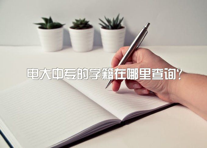 电大中专的学籍在哪里查询？可以出具学历报告吗？