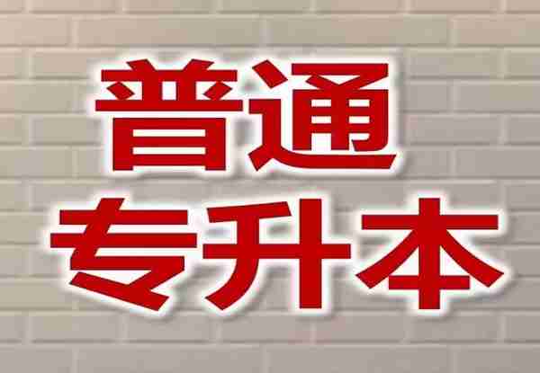 2024武汉初阳教育专业专升本集训营，助力学子提升学历