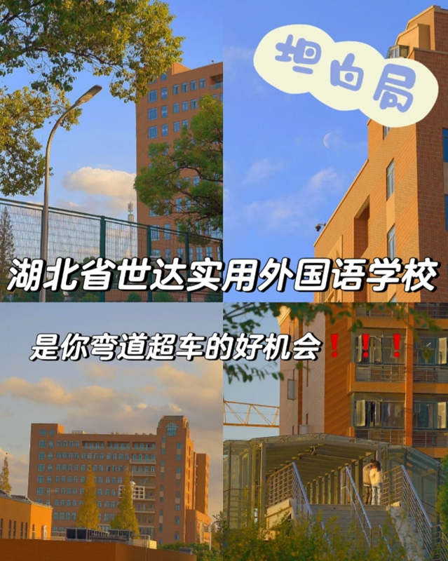 中考落榜怎么办？湖北省世达实用外国语学校一样可以参加高考上大学-官方报名指南